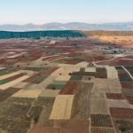 cultivated-field-from